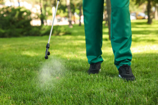  Emerald Lake Hills, CA Pest Control Pros