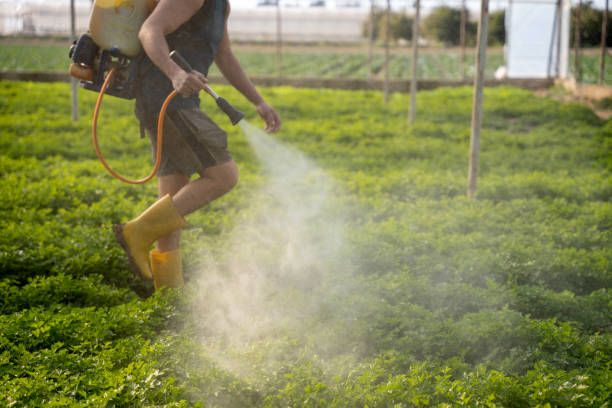Best Residential Pest Control  in Emerald Lake Hills, CA