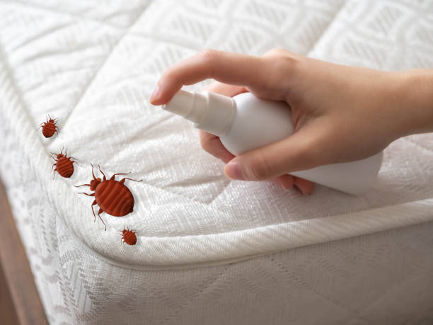 Best Exterminator Services  in Emerald Lake Hills, CA