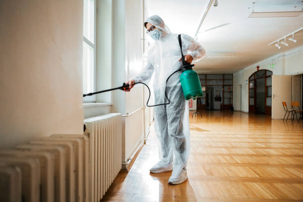 Best Mosquito Control Services  in Emerald Lake Hills, CA